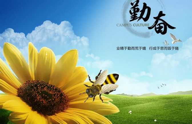 努力辛勤，成功不到，誰云上天會公道是什么生肖,警惕虚假宣传-全面释义、解释与落实、构建解答解释落实